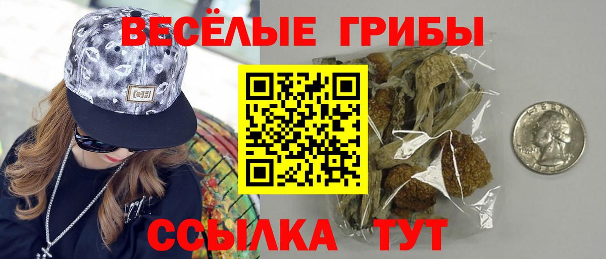 Псилоцибиновые грибы прущие грибы  Вход с VPN  Галлюциногенные грибы прущие грибы  Ачхой-Мартан 